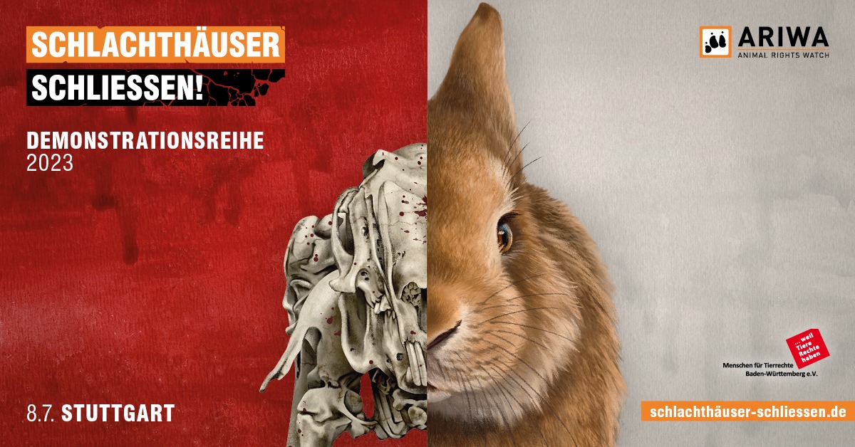 Schlachthäuser schließen