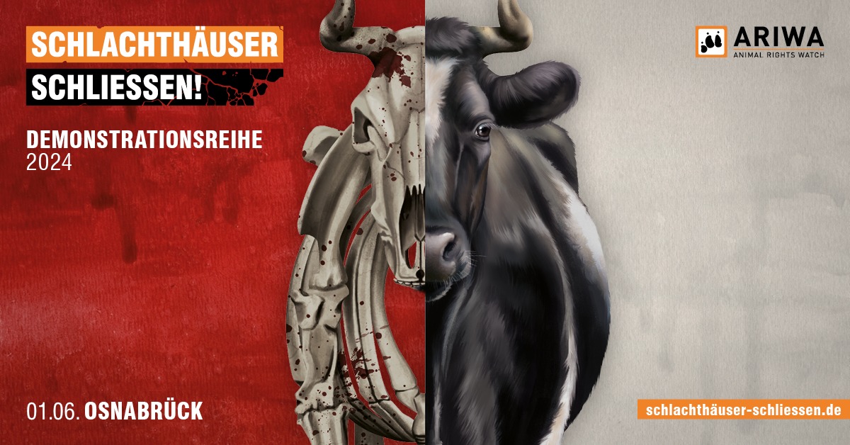 Schlachthäuser schließen