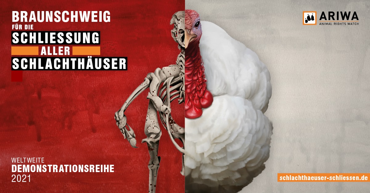 Schlachthäuser schließen