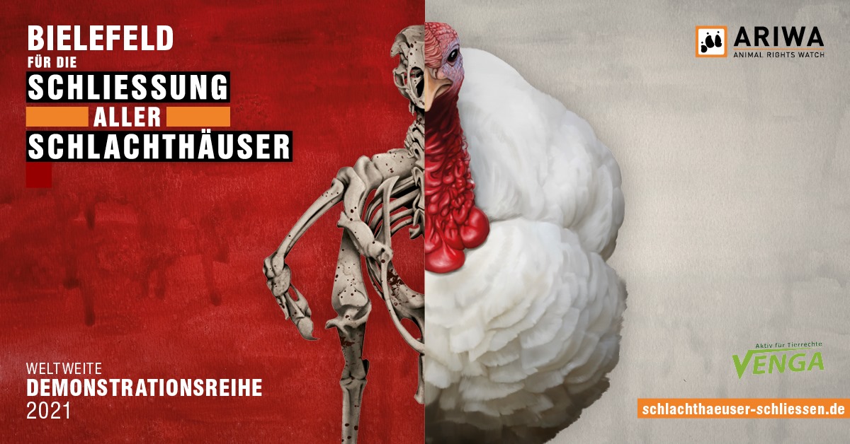 Schlachthäuser schließen