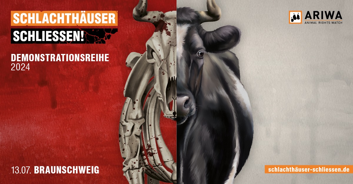 Schlachthäuser schließen