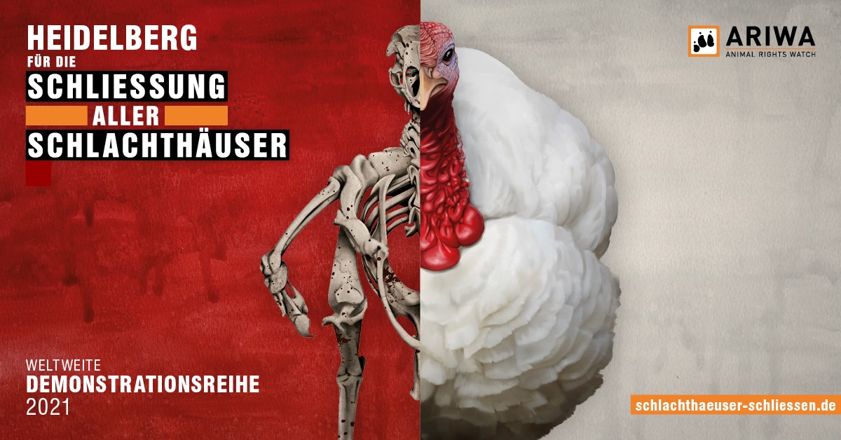 Schlachthäuser schließen