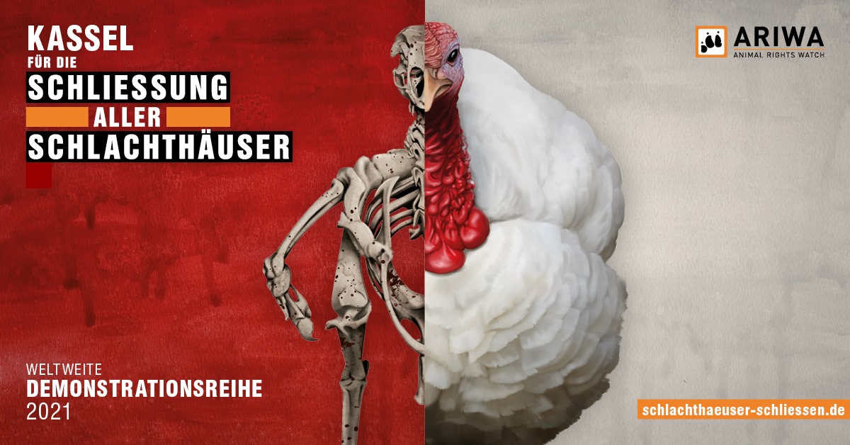 Schlachthäuser schließen