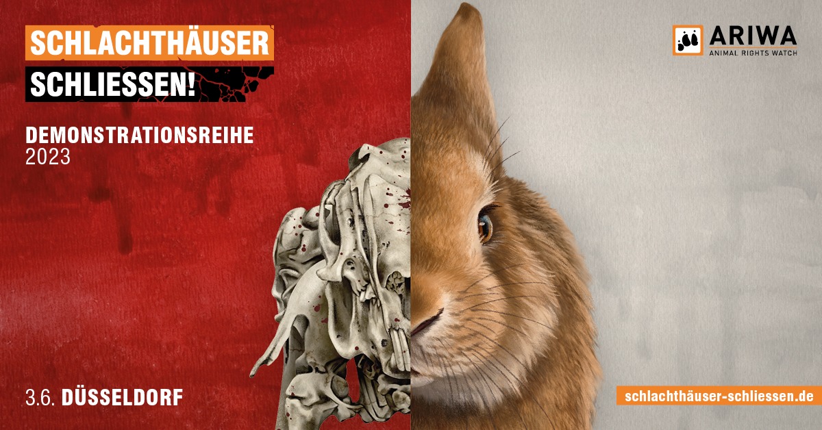 Schlachthäuser schließen