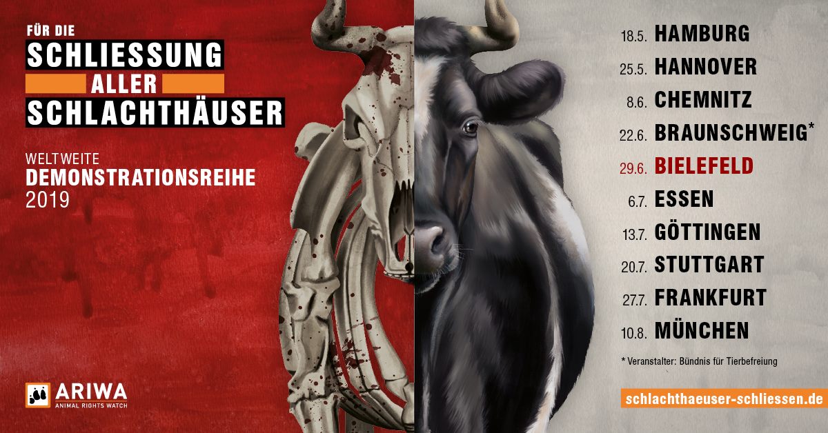 Schlachthäuser schließen
