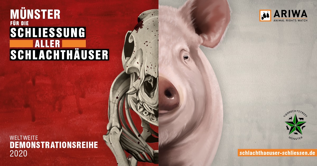 Schlachthäuser schließen