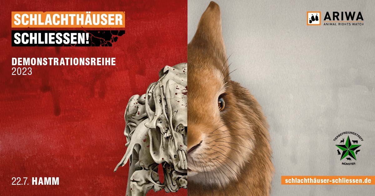 Schlachthäuser schließen
