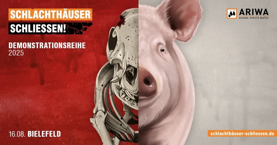 Schlachthäuser schließen