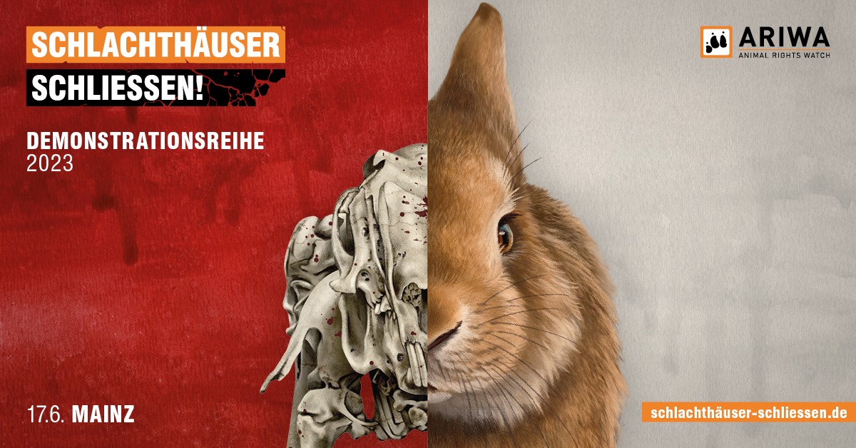 Schlachthäuser schließen