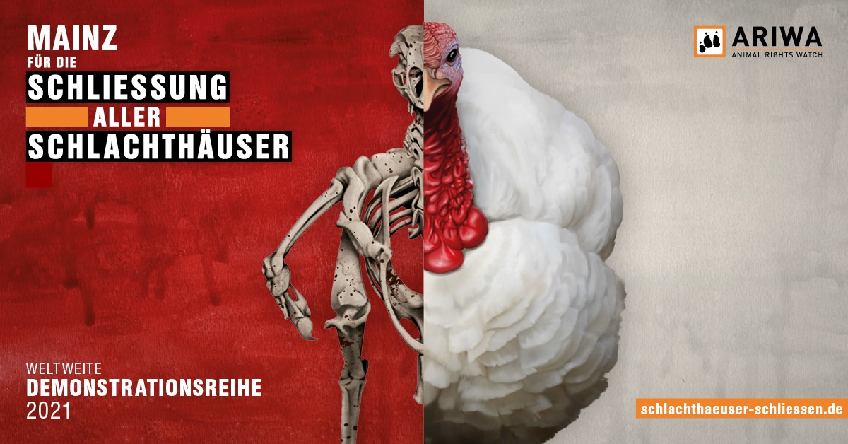 Schlachthäuser schließen