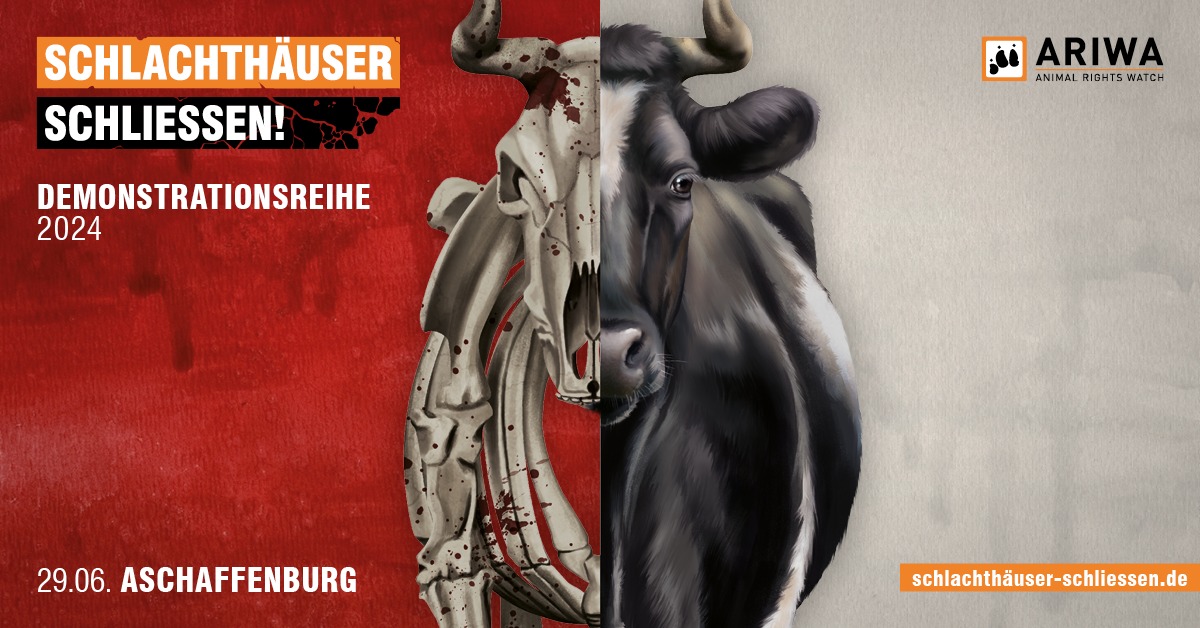 Schlachthäuser schließen