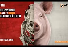 Schlachthäuser schließen