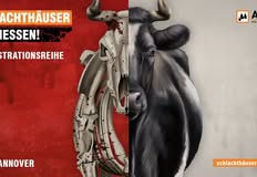 Schlachthäuser schließen