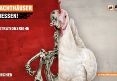 Schlachthäuser schließen