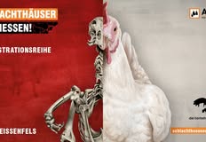 Schlachthäuser schließen