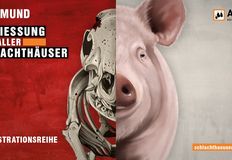 Schlachthäuser schließen