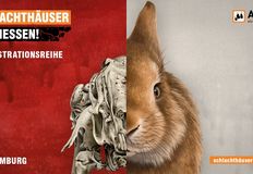 Schlachthäuser schließen