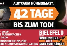 Schlachthäuser schließen