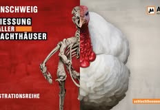 Schlachthäuser schließen