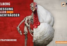 Schlachthäuser schließen