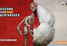 Schlachthäuser schließen