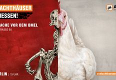 Schlachthäuser schließen