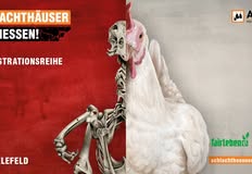 Schlachthäuser schließen