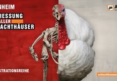 Schlachthäuser schließen