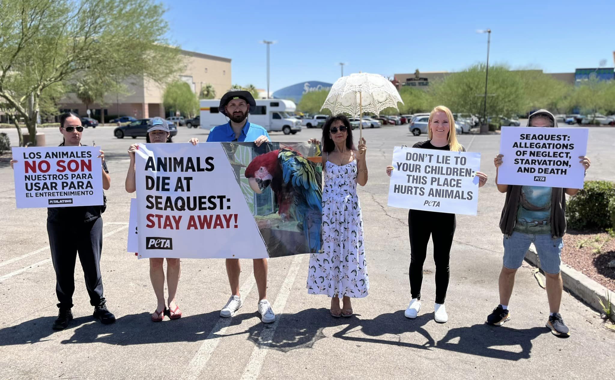 Protest for Animal Rights