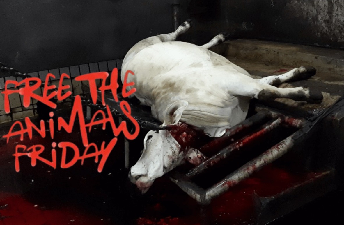 Protest for Animal Rights