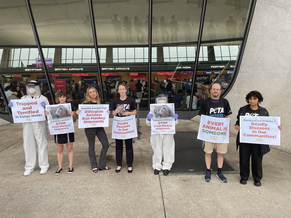 Protest for Animal Rights