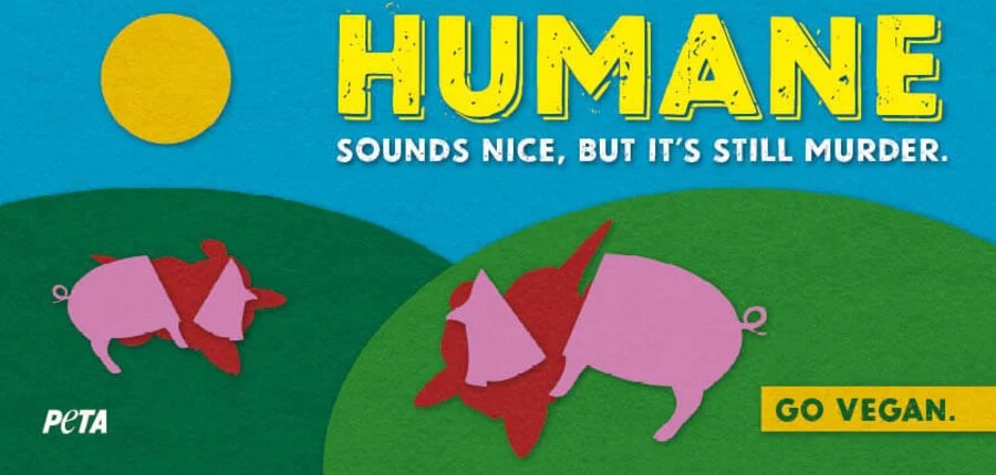 Protest for Animal Rights