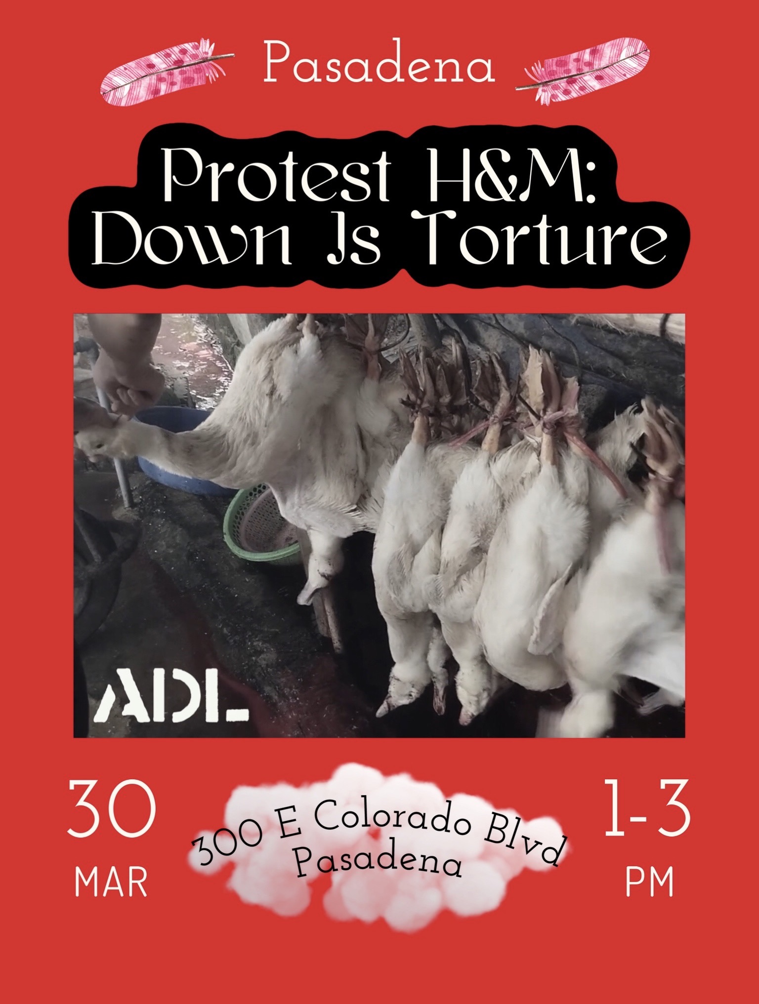 Protest for Animal Rights