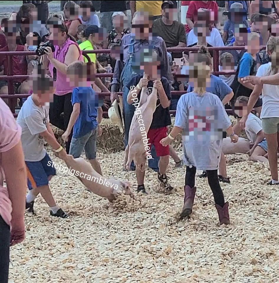 Protest for Animal Rights