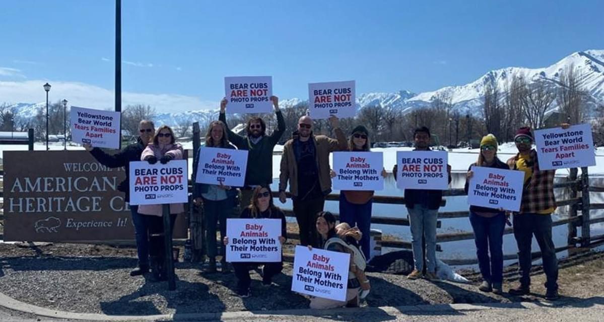 Protest for Animal Rights