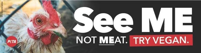 Protest for Animal Rights