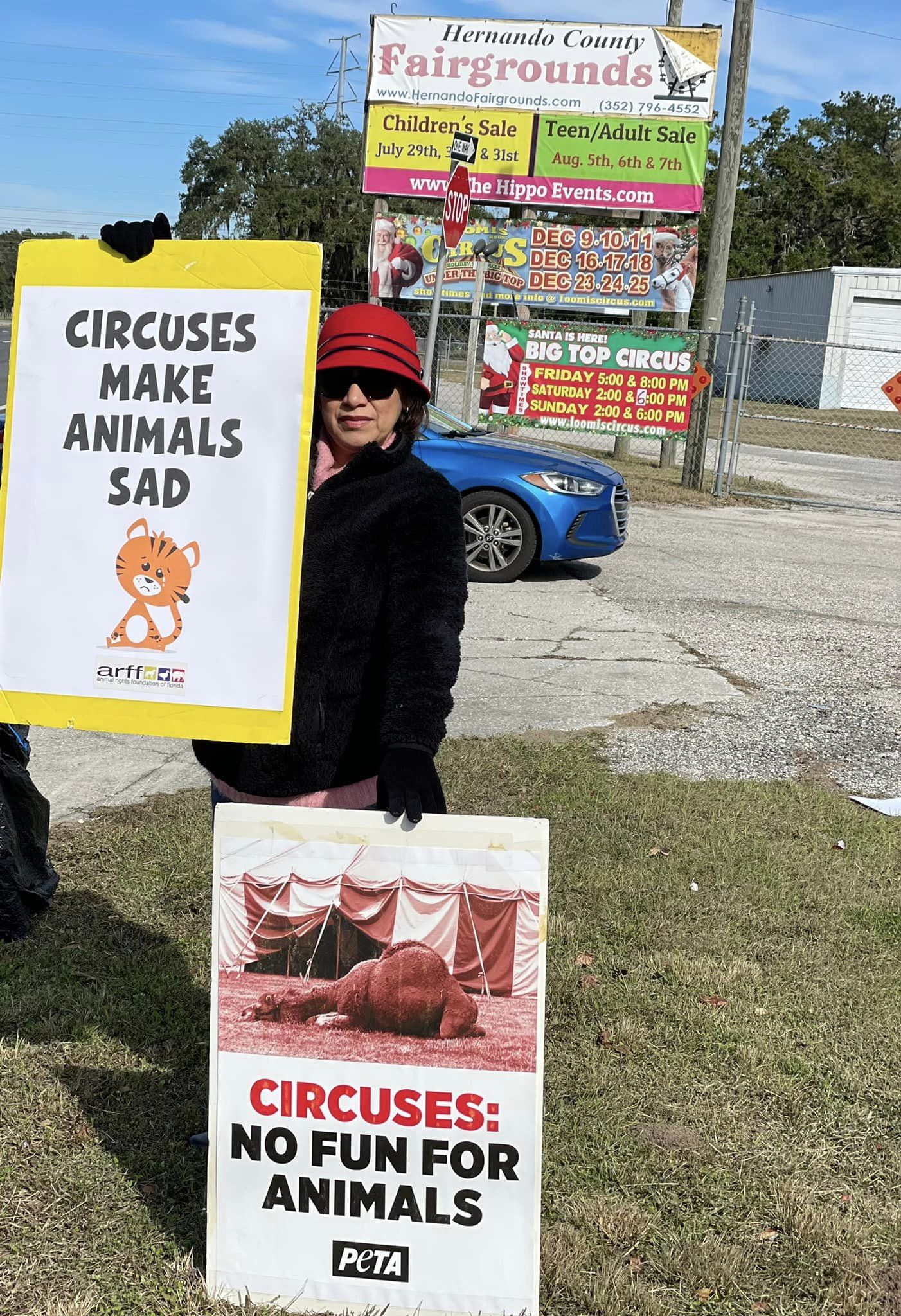 Protest for Animal Rights