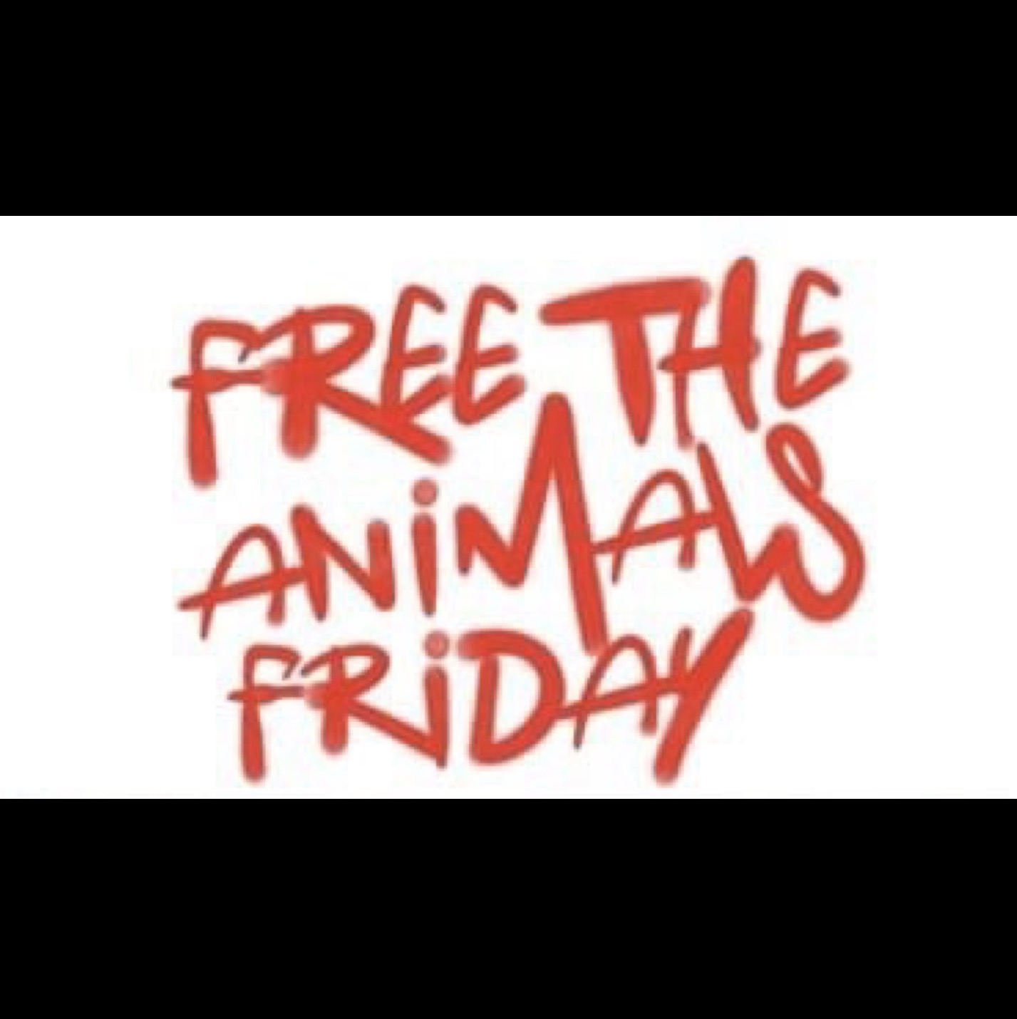 Protest for Animal Rights