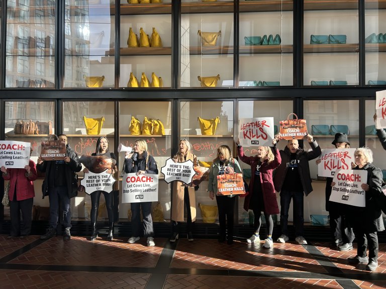 Protest for Animal Rights