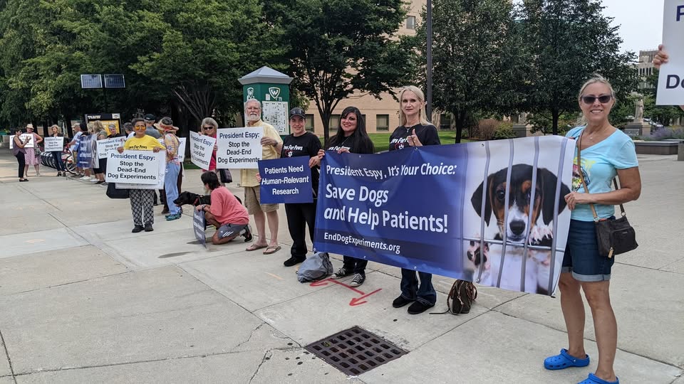 Protest for Animal Rights