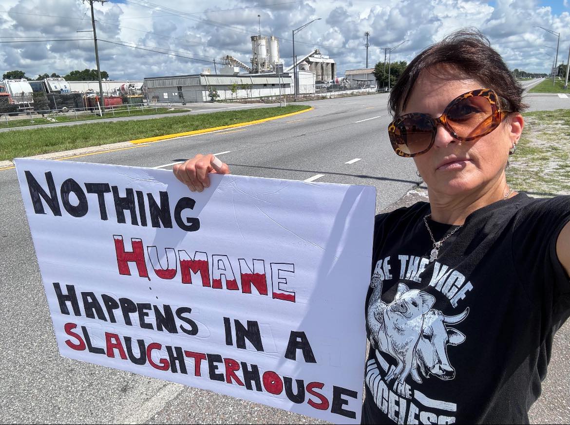 Protest for Animal Rights
