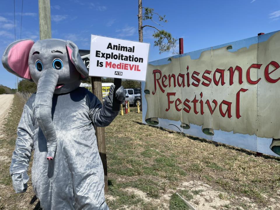 Protest for Animal Rights