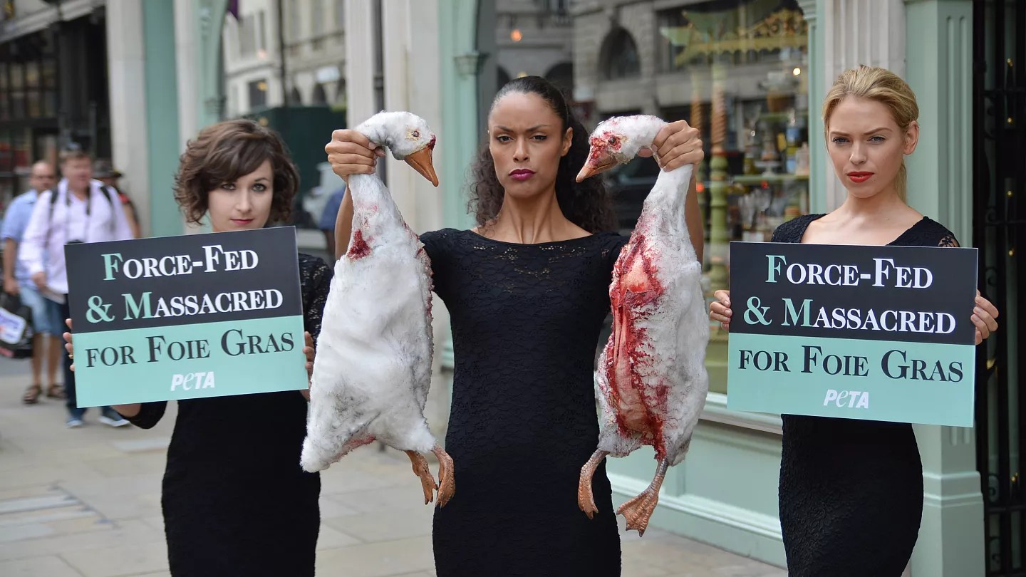 Protest for Animal Rights