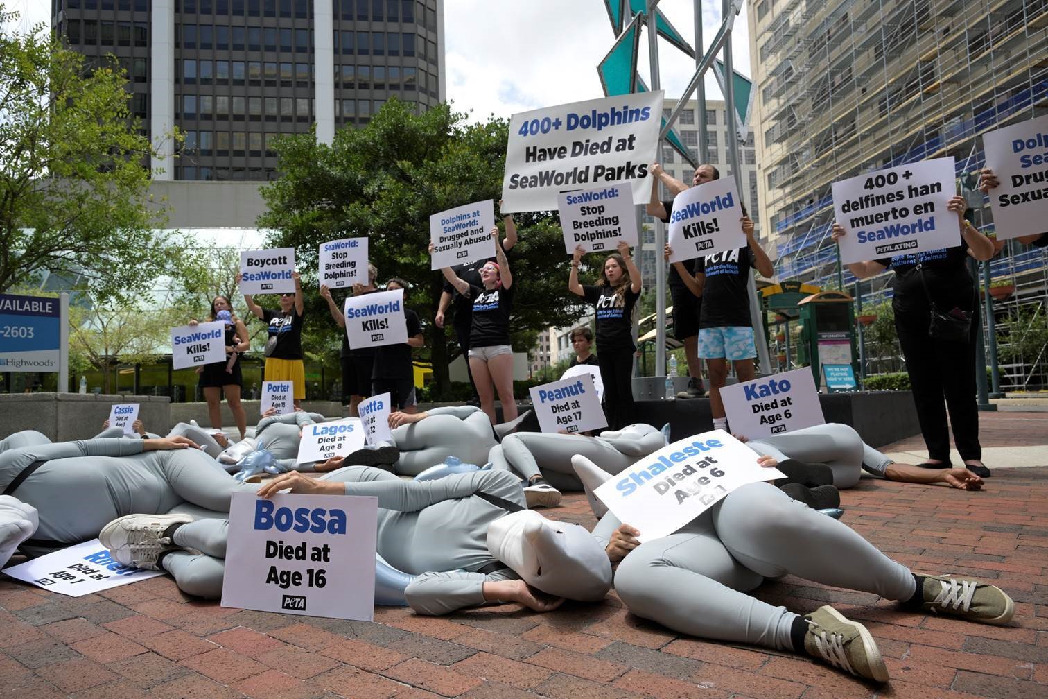 Protest for Animal Rights