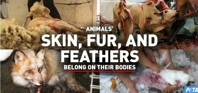 Protest for Animal Rights