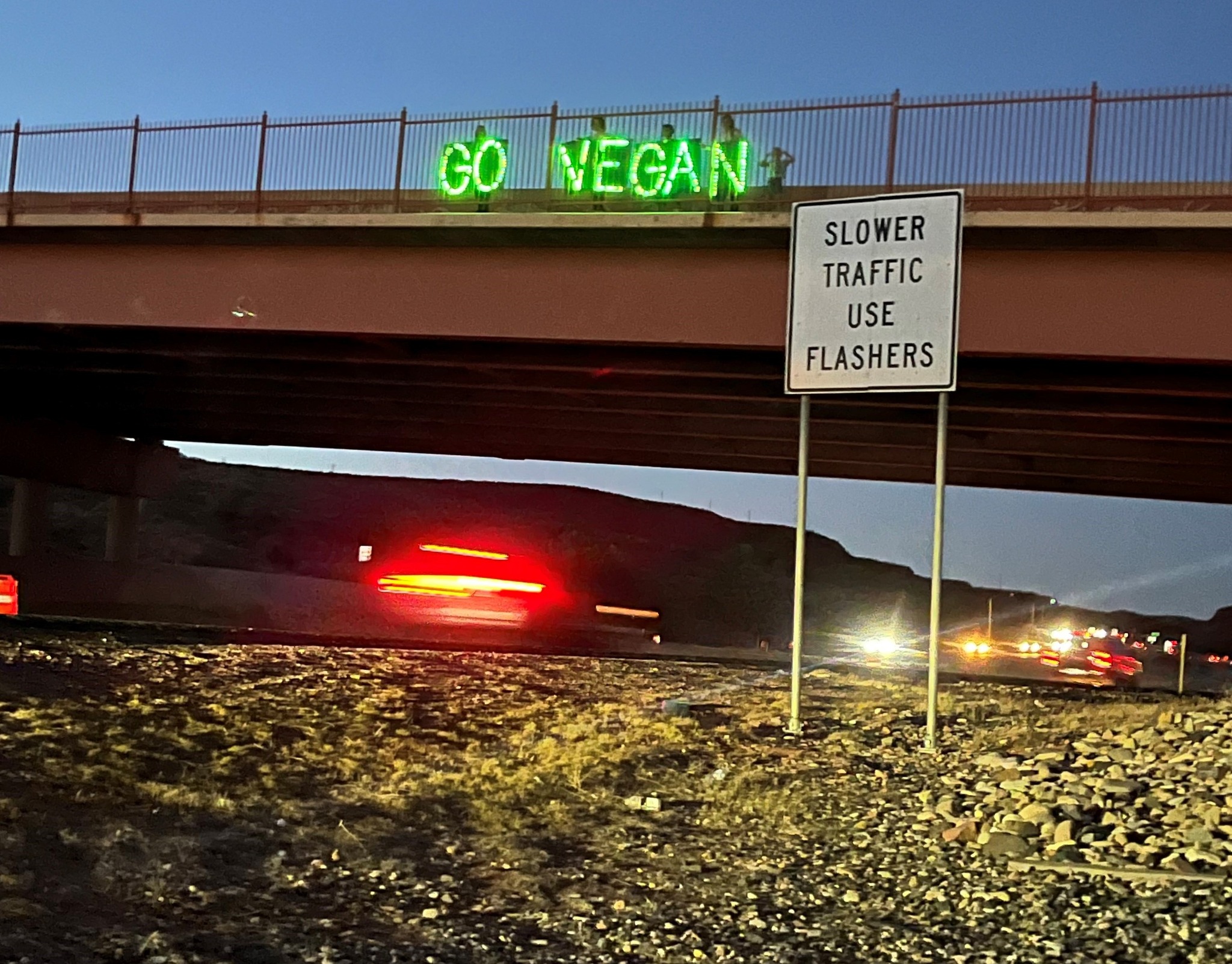 Protest for Animal Rights