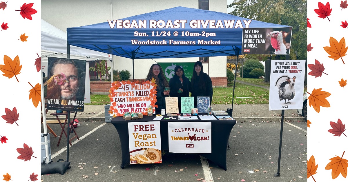 Protest for Animal Rights
