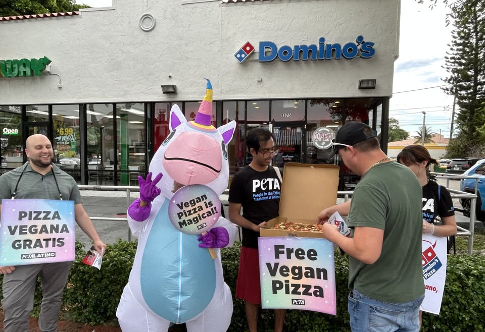 Protest for Animal Rights