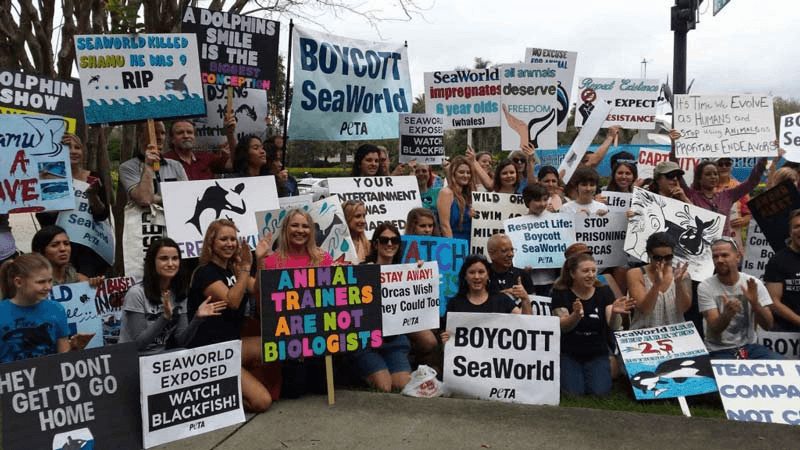 Protest for Animal Rights