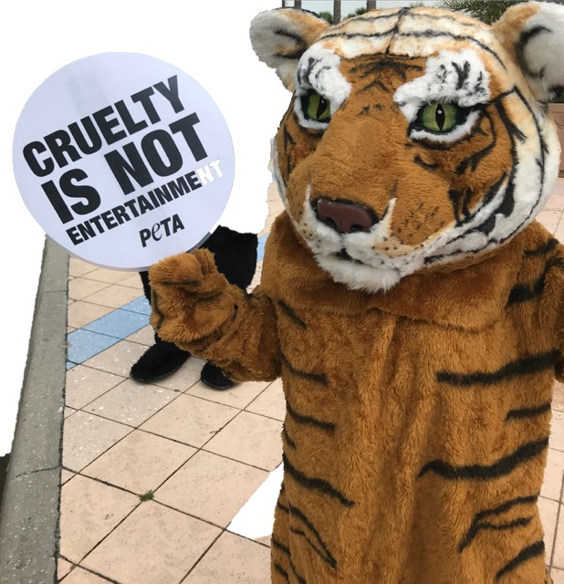 Protest for Animal Rights